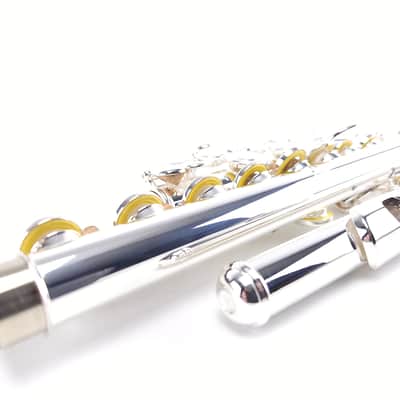 Di Zhao DZ 401 E Flute Open Hole B Foot Split E Silver Lip Intermediate NEW image 10