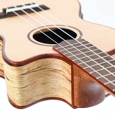 Cordoba 24TCE Tenor Spalted Maple Spruce Ukulele image 11