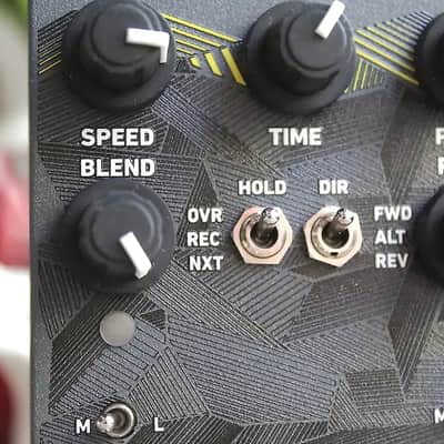 Red Panda Tensor Tape Delay image 2