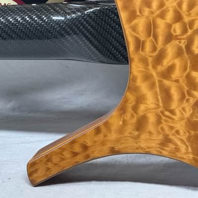 Parker USA FB-5 fb5 Fly 5-string Bass image 11