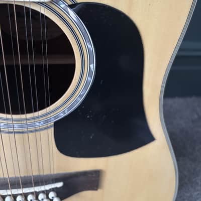 Aria 12 string Dreadnought AW 20 - T - N image 6