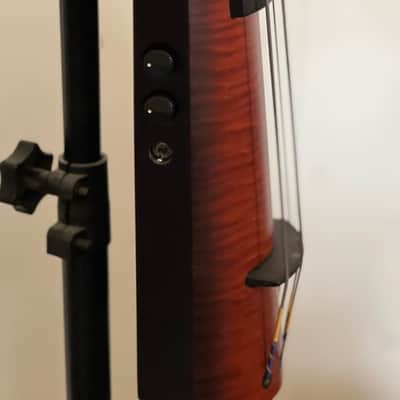 NS Designs NXT4 bass 2000's - passive image 9