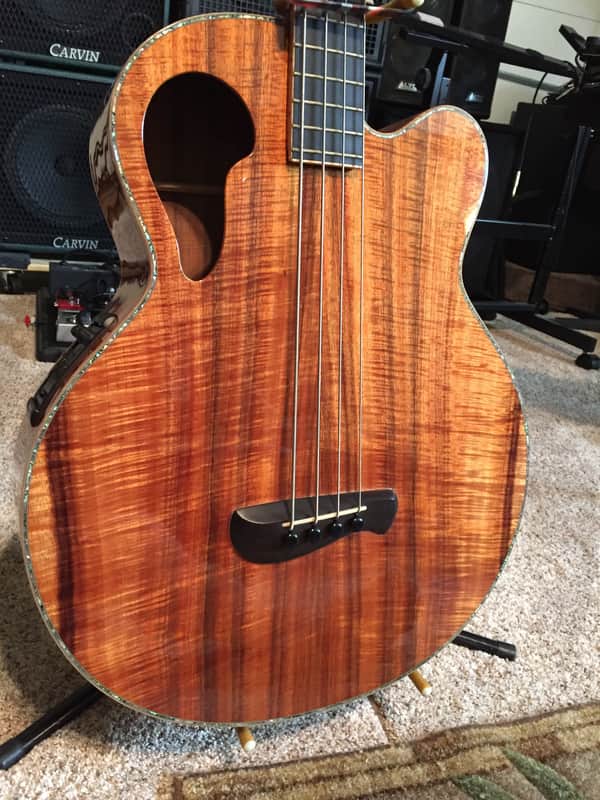 TACOMA THUNDERCHIEF ACCOUSTIC BASS image 1