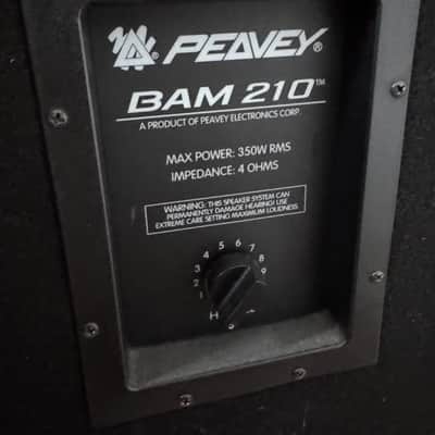 Peavey BAM 210 with PFC 4B image 6