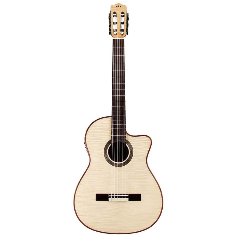 Cordoba Fusion 12 Exotic Top image 3