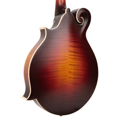 Gold Tone GM-80: F-Style Mandolin with Case image 8