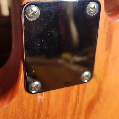 Delaney USA MADE Mike Zito Peace-Hand Signed-Trans Corvette Red Stain-Lollar Pick UPS-Swamp Ash-V Neck-w/ HSC image 18