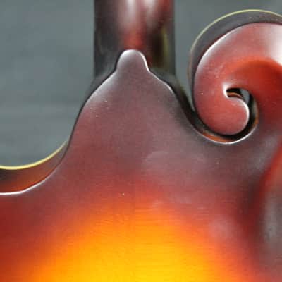 The Loar LM-590-MS  All Solid F-Style Mandolin NEW! FREE SHIPPING! w/ Gigbag image 13