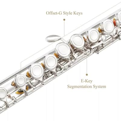 Concert Flute – Student & Intermediate Band Flute with Case, Stand & Accessories image 3