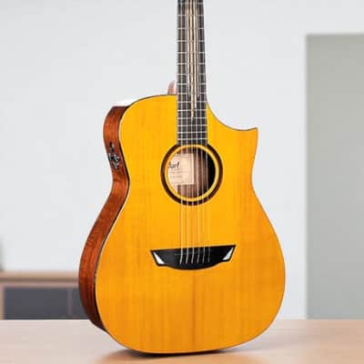 Ovation Collector's Series FKOA 2006 Acoustic/Electric Guitar w