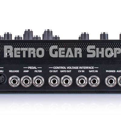 Sequential Prophet 10 Reissue Desktop Module Polyphonic Analog Synthesizer Synth Mint Open-Box image 5