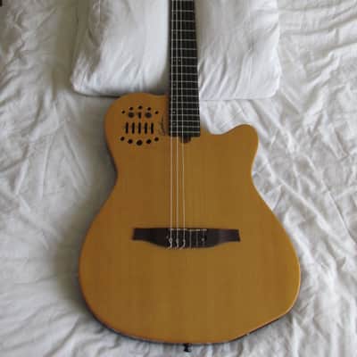 Godin & Roland Bundle Multiac Cedar ACS Slim Nylon, Roland VG-8EX, Roland GI-20 GK, Roland XV-2020, Roland SRX-04