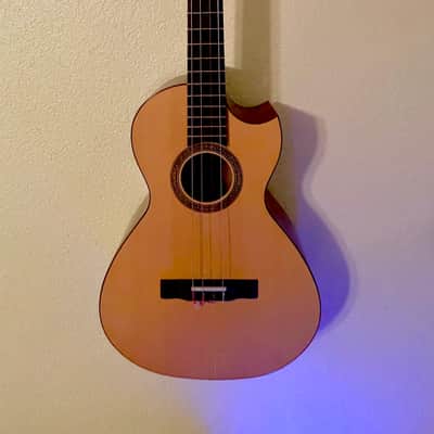 Southcoast RARE — Tenor Guitar/Baritone Ukulele 2017 image 2