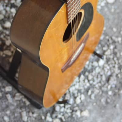 Gibson B20 1971 Natural image 3