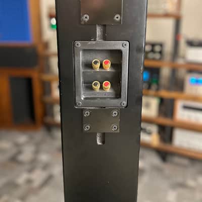 Immagine Totem Acoustic Tribe III Surround Speaker - 10