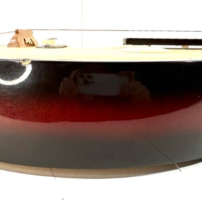 Awesomesauce electrified Yueqin electric noise instrument The Electric Moon Lute 2025 - Wood image 12