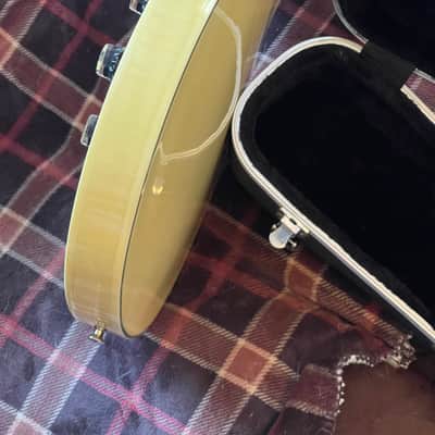 Agile AS820 12 String Semi-hollow Electric Guitar image 9
