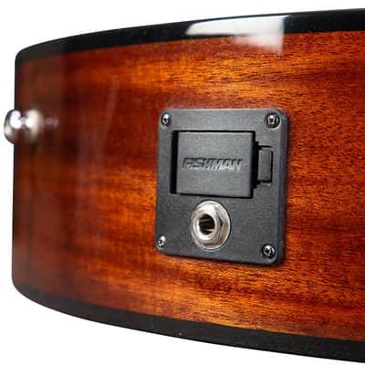 Breedlove Discovery S Concert Edgeburst CE Acoustic-Electric Guitar - African Mahogany image 7