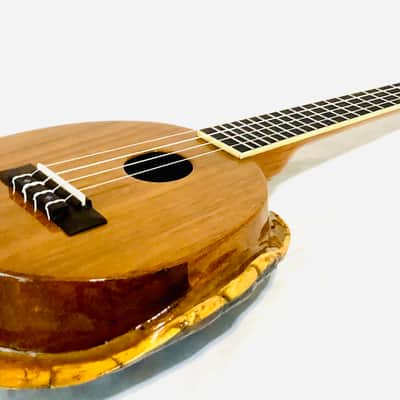 Turtle Shell Concert Ukulele image 4