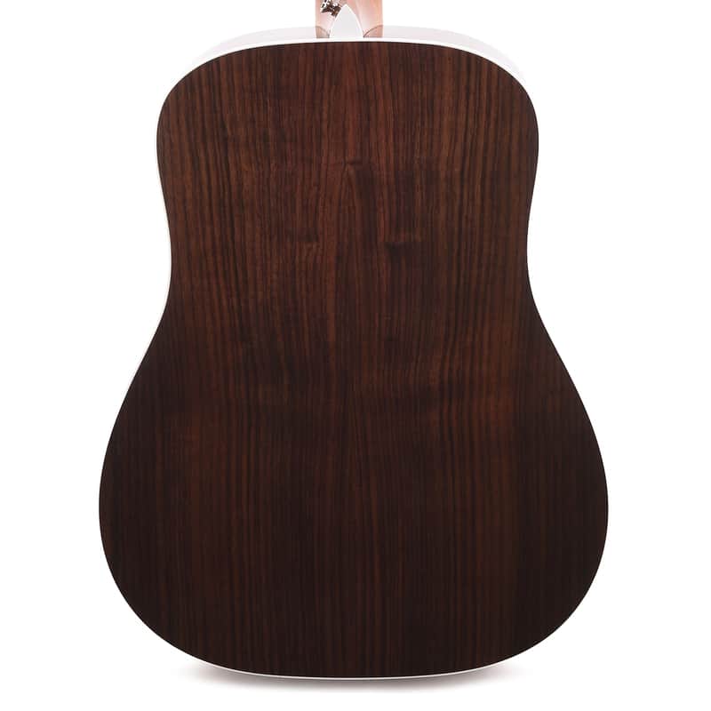 Taylor Legacy 810e image 4
