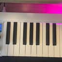 Mellotron Micro 2021 - White