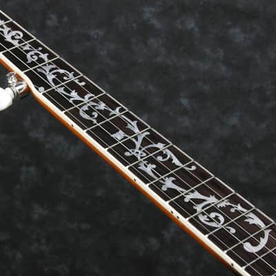 Ibanez Model B200 5-String Closed Back Banjo, Mahogany Gloss Resonator image 6