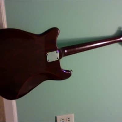 Vintage Epiphone Japanese Wilshire 70s? image 3