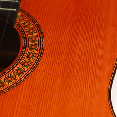 The Biggest Classical Guitar We've Ever Seen | Corujo's Gran Guitar by Raimundo & Aparicio - Check Video! image 16