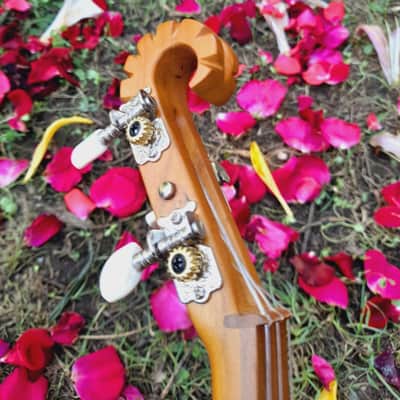 Georgian folk music instrument Panduri | String instrument Panduri | ფანდური | Fanduri image 15