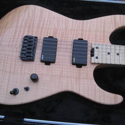 Charvel USA custom shop dinky image 2