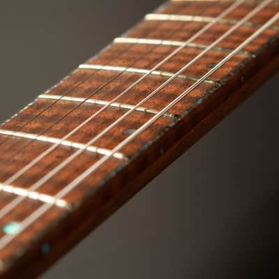 Hoff Guitars Valnut (Neck-Through, Multi-Scale, Semi-Hollow V 2024 - Polymerized Tung Oil image 18