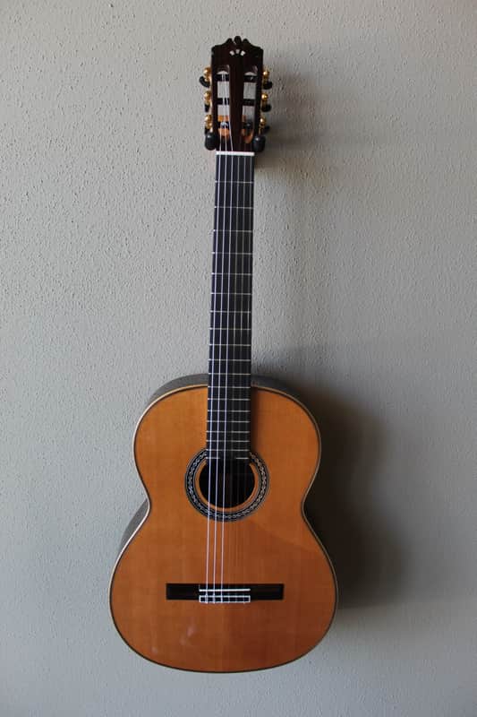 Brand New Cordoba C12 Cedar Top Classical Guitar - with Hard Case image 1