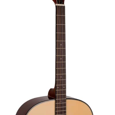 Gold Tone TG-10: Tenor Guitar with Gig Bag image 15