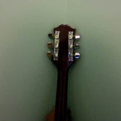 Vintage Epiphone Japanese Wilshire 70s? image 2