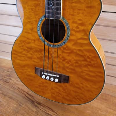 Michael Kelly Dragonfly 4AM Acoustic Bass image 3