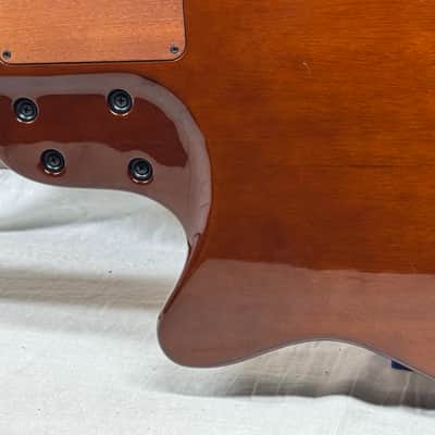 Godin Multiac Grand Concert SA Nylon String Classical Guitar with Case 2012 image 12