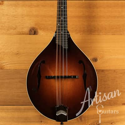Collings MT Mandolin Gloss Torrefied Sitka Top w/ Ivoroid Bindings image 1