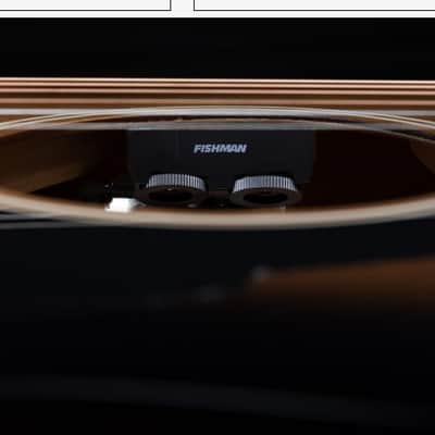 Mint D'Angelico Premier Fulton Grand Auditorium Acoustic-Electric Guitar image 13