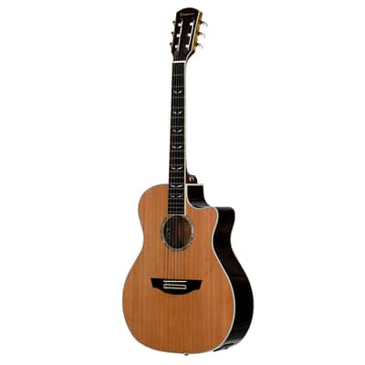 Orangewood Mason Nylon Cedar Live Solid Top Acoustic-Electric w/ Fishman EQ image 3