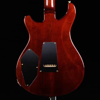 2024 PRS 509 - 10 Top - Orange Tiger image 2