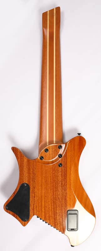 Agile 10 String Fan Fret Guitar w/ stainless frets & Fishman