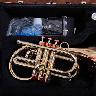 Carol Brass Phat Puppy Pocket Flugelhorn Bb Trumpet by Taylor Brass image 5