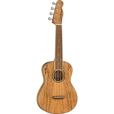 Fender Zuma Exotic Concert Ukulele, Walnut Fingerboard, Spalted Maple image 4