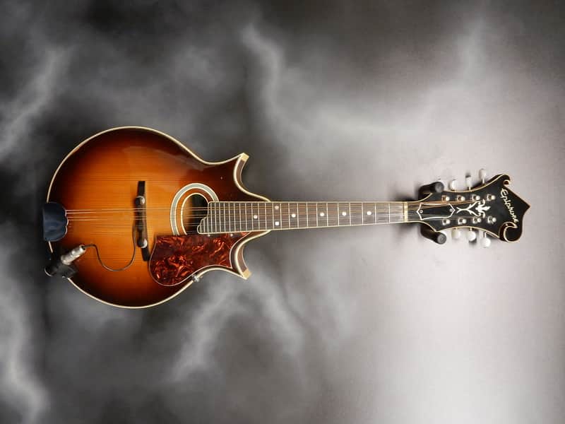 Epiphone Bg-440 Florentine Mandolin image 1