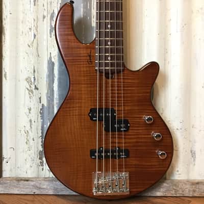 Godin Freeway 5-String Passive Bass image 1