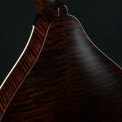 Collings MT Mandola Cream Gloss Top Adirondack Spruce and Flamed Maple NEW image 18