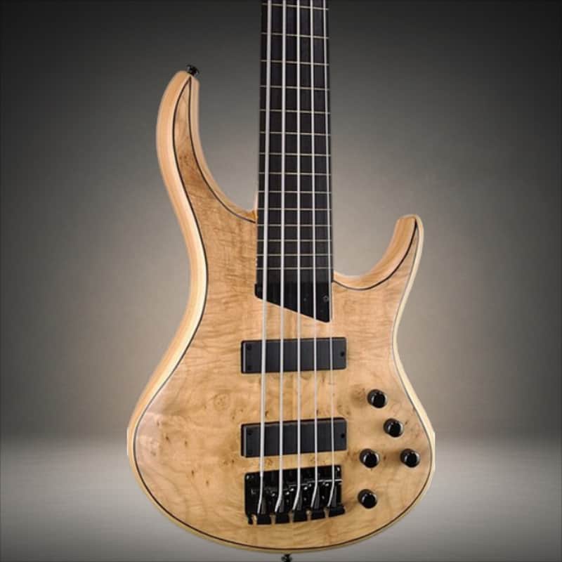 MTD Kingston Z5 Fretless Ebony Fingerboard, Natural Maple Burl Matte image 1