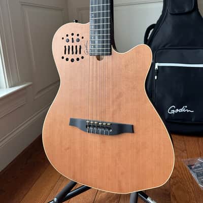 Godin Multiac ACS SA Nylon image 2