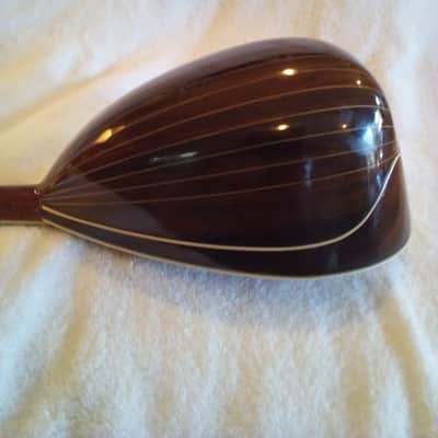 Washburn Model 130 1895-1900 - Gloss image 12