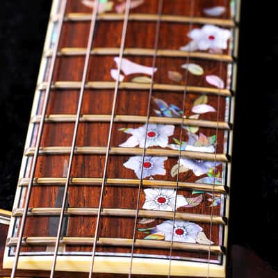 PRS Custom 22 Private Stock 10th Anniversary 2007 image 7